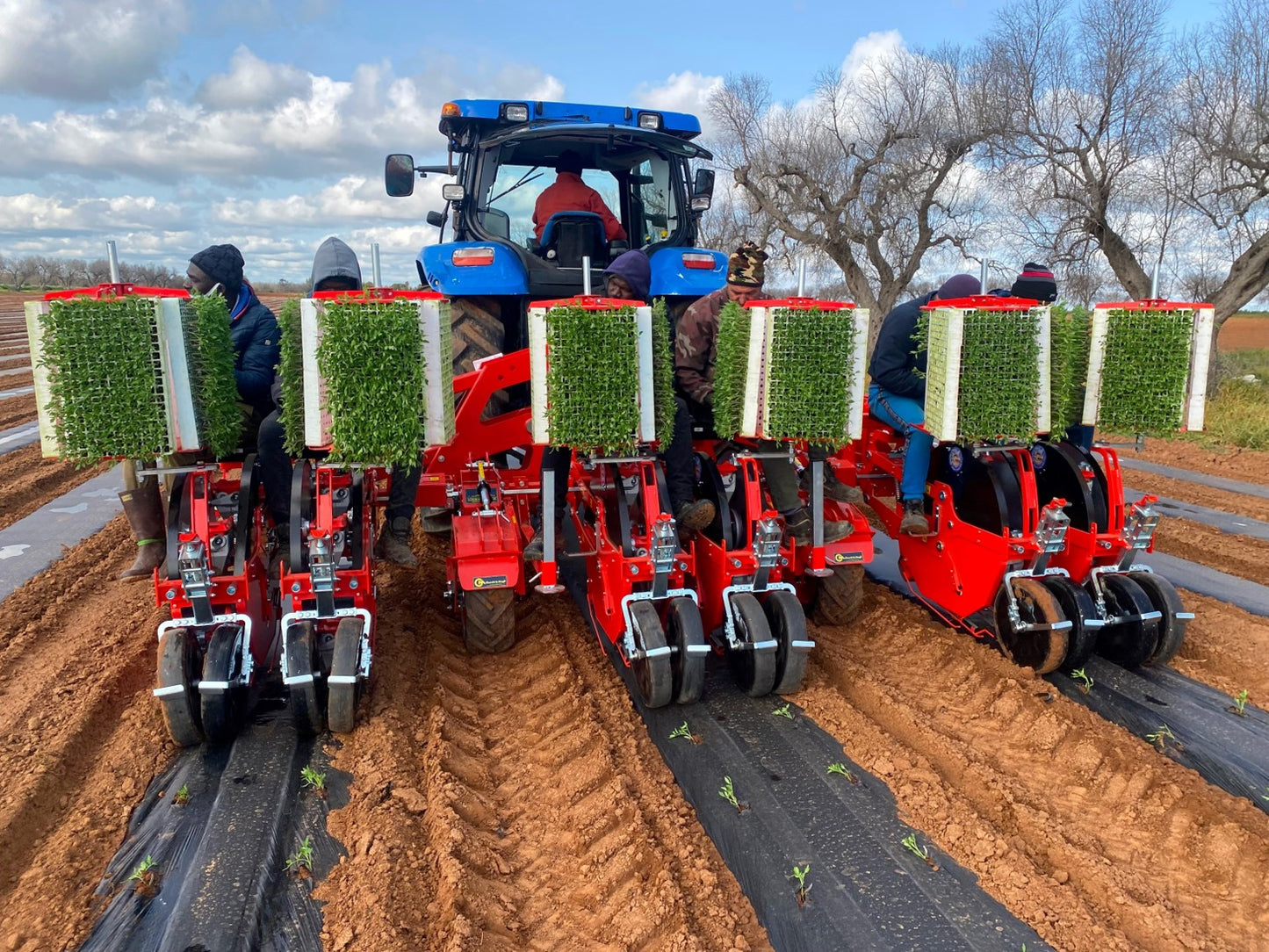 CH Wolf Pro / SeedPro (Preis auf Anfrage) - Aldinger Technik